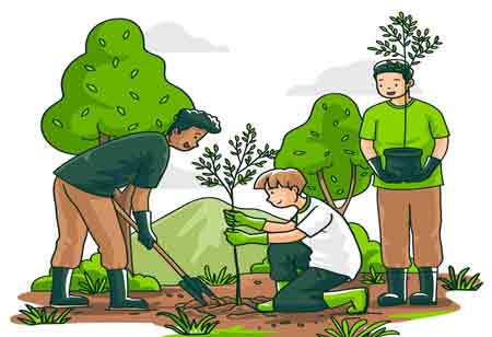 Shaping a Sustainable Future Through Environmental Education